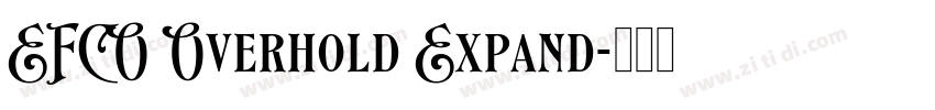 EFCO Overhold Expand字体转换